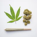 What Strain of Weed is Best For Me?