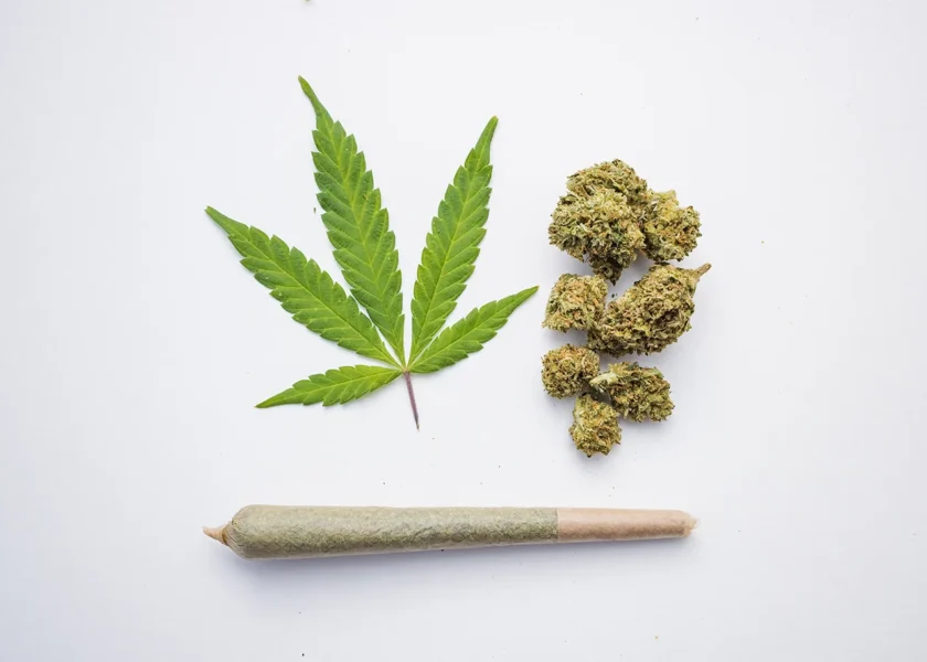 A marijuana leaf, pre-roll and buds of flower all next to each other