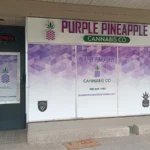 Mississauga Cannabis Store Location