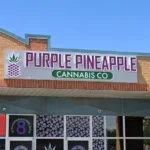 Etobicoke Cannabis Store Location